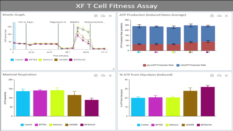 fitness assay