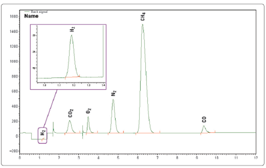 Chromatogramy pro TCD kanál