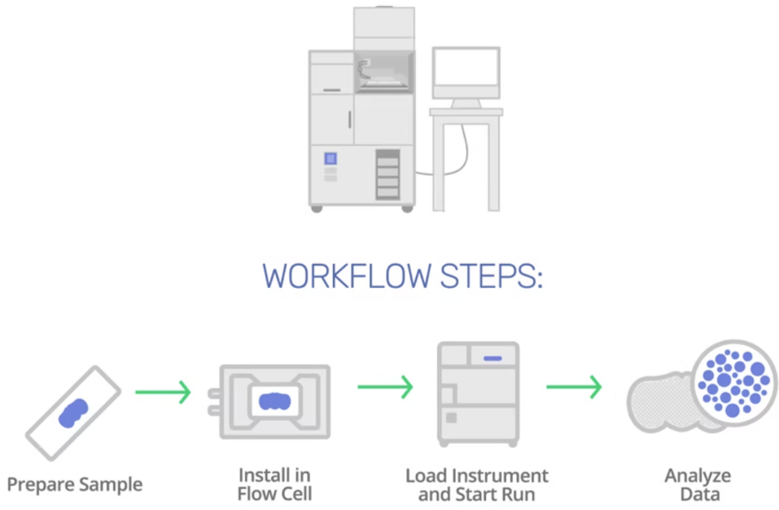 Workflow Rebus Esper