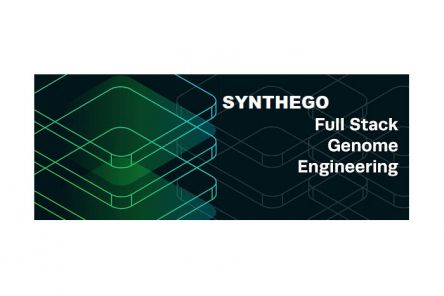 Synthego