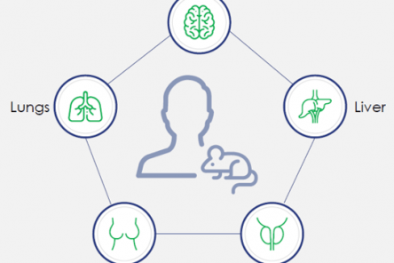 Tkáňově specifické eseje pro „cell-type-mapping“