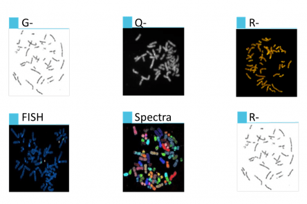 CytoPower