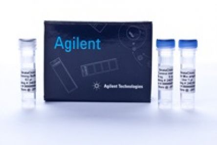 StrataClone PCR Cloning Kits