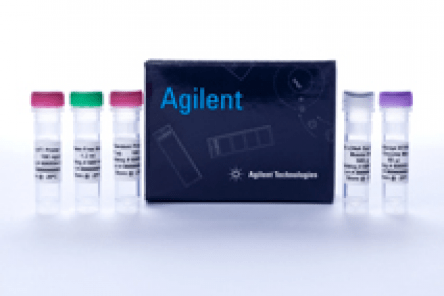  AffinityScript Multi-Temp RT & RT-PCR 