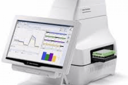 Seahorse XFe24 Analyzer