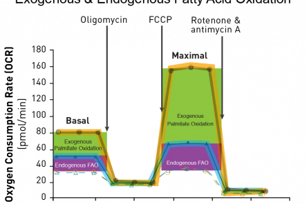 Seahorse XF Palmitate-BSA FAO Substrate