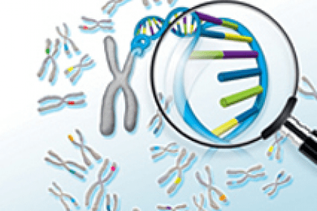 SureSelect Focused Exome 