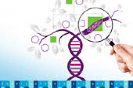 ClearSeq AML HS