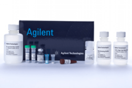  RNA Purification Spin Column & Kits 