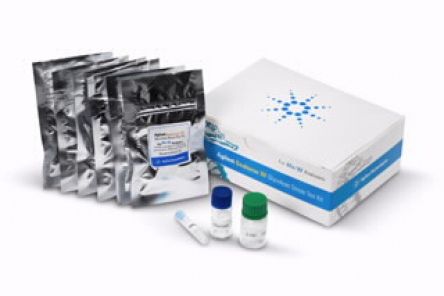 Seahorse XF Glycolysis Stress Test Kit