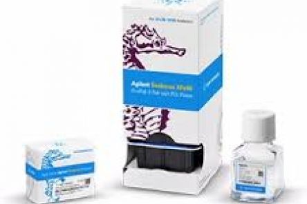 Seahorse XF Hu T Cell Activation Assay Kit