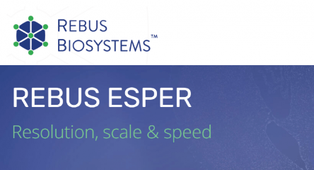 rebus esper