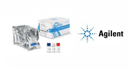 Seahorse XF T Cell Metabolic Profiling Kit