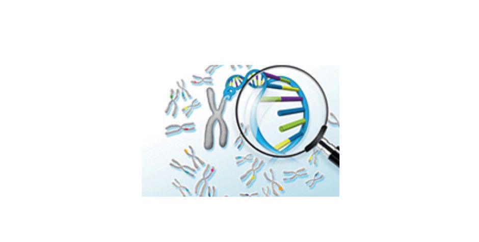 SureSelect Focused Exome 