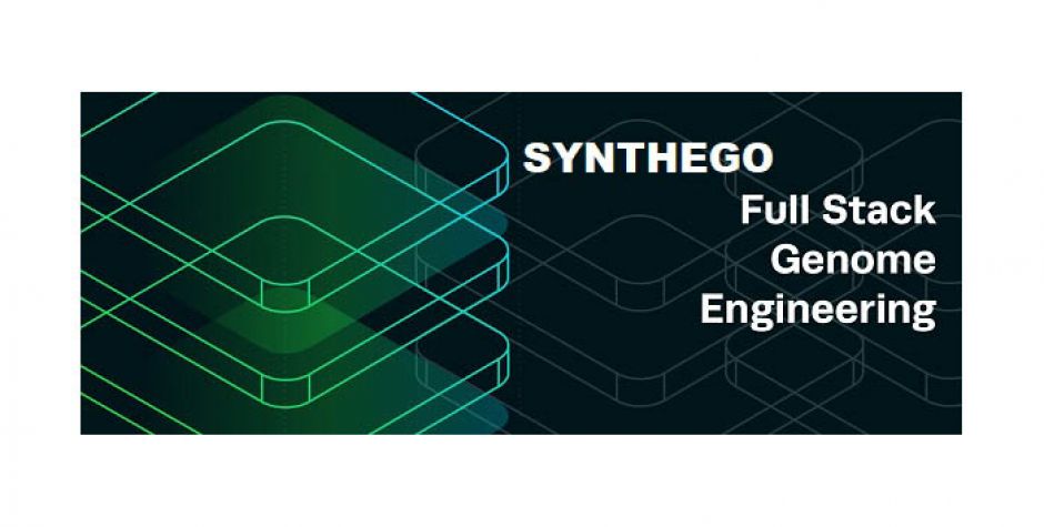 Synthego