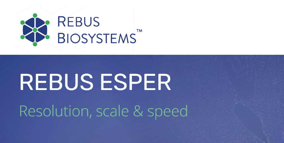 rebus esper