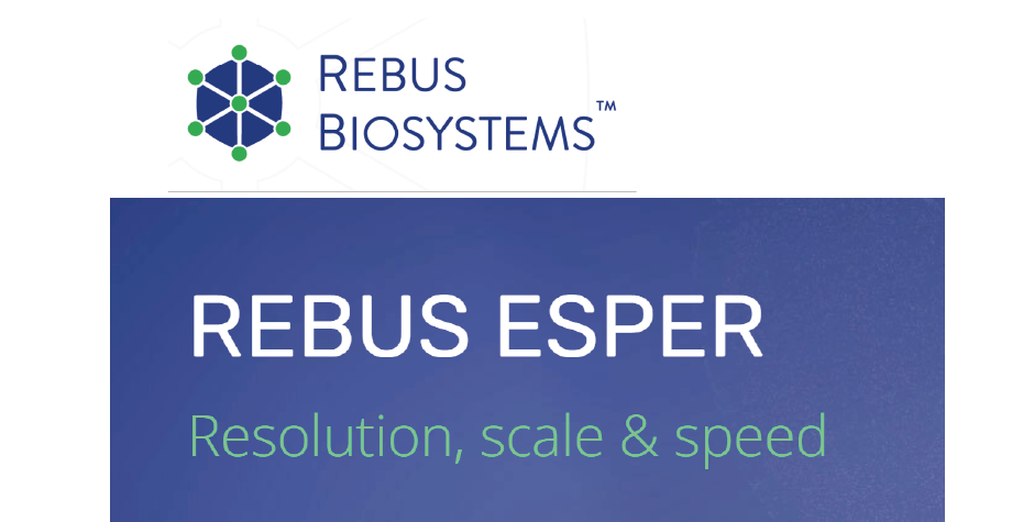 rebus esper