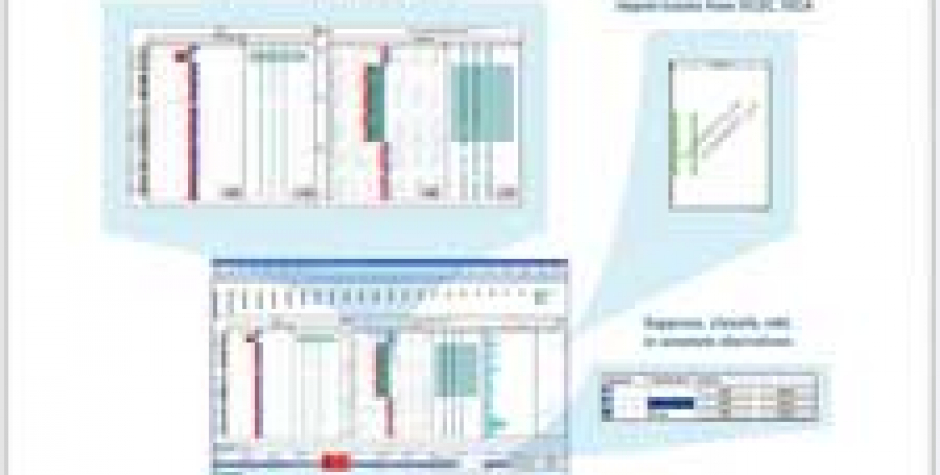 CytoGenomics Software