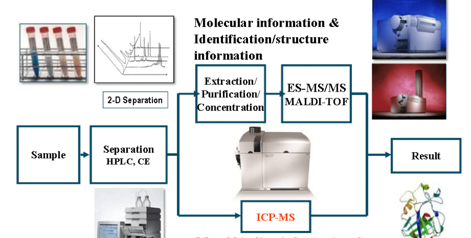 ICP/MS/MS - Metallomics