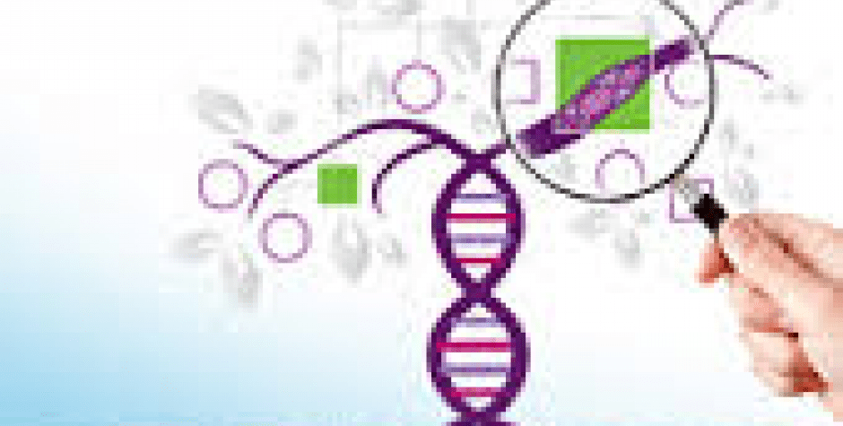 ClearSeq AML HS